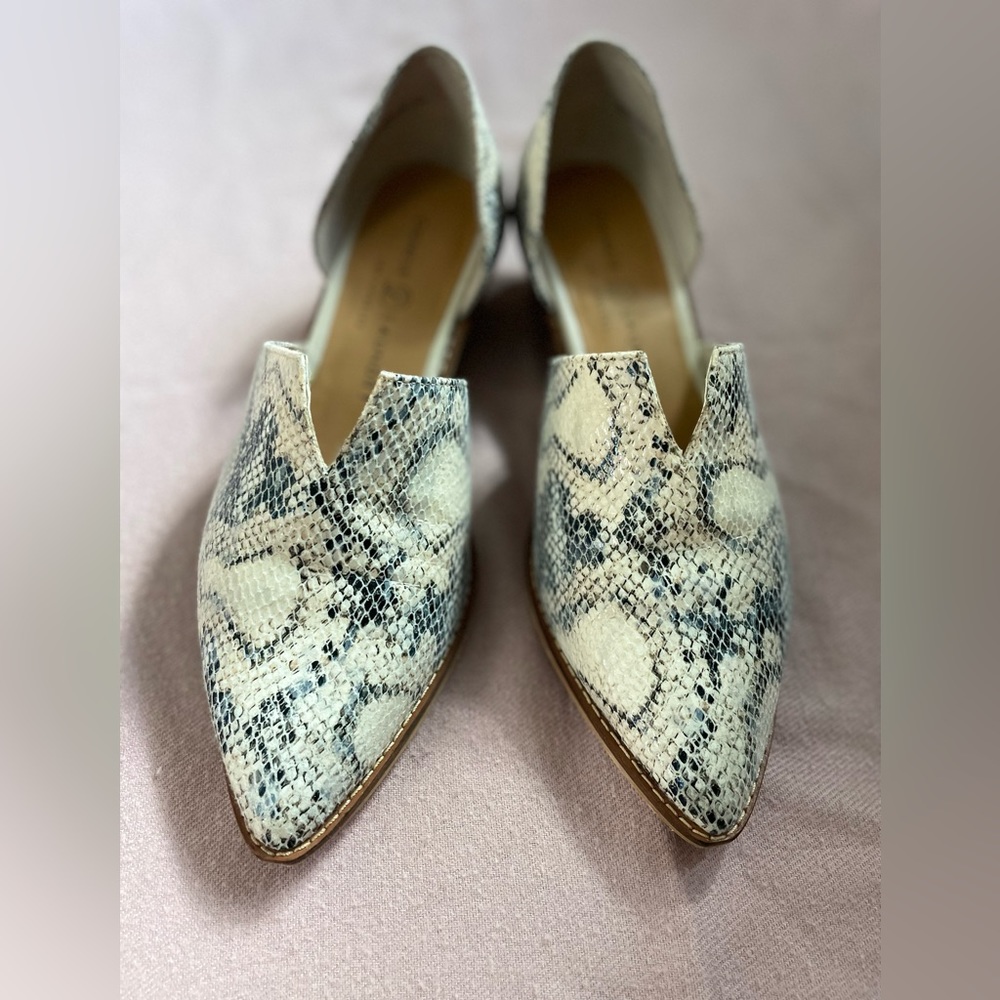 Chinese Laundry Matcha Oxford. Size 8